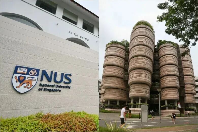 独家解读：NUS/NTU最新就业数据，找到新加坡真正的“抗风险”专业