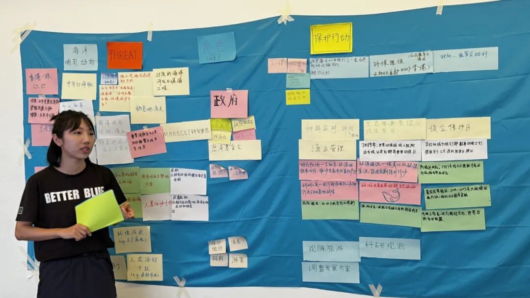 【已成团】兰卡威：登上马来西亚海岛，参与野生海豚一线保护工作!