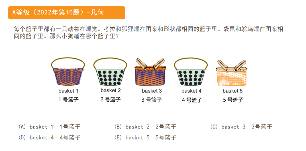 【干货】袋鼠数学竞赛等级划分全解析：从入门到精通的选级指南！
