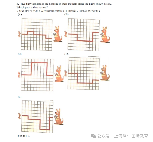 2026年袋鼠数学竞赛在哪里报名？袋鼠数学竞赛报名入口