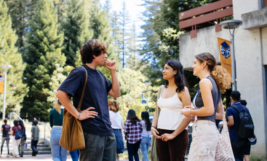2026｜高含金量爬藤项目、SIP暑期科学夏校项目，申请倒计时！