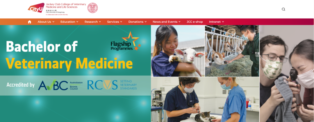 港校 “神科” 有多卷？法律/工程等4大学科DSE分数全梳理！