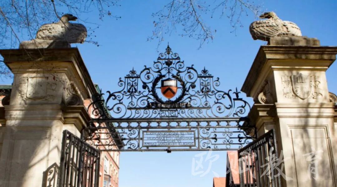 美博通关指南｜申请美博中，5类硬核技能直接决定全奖+毕业速度