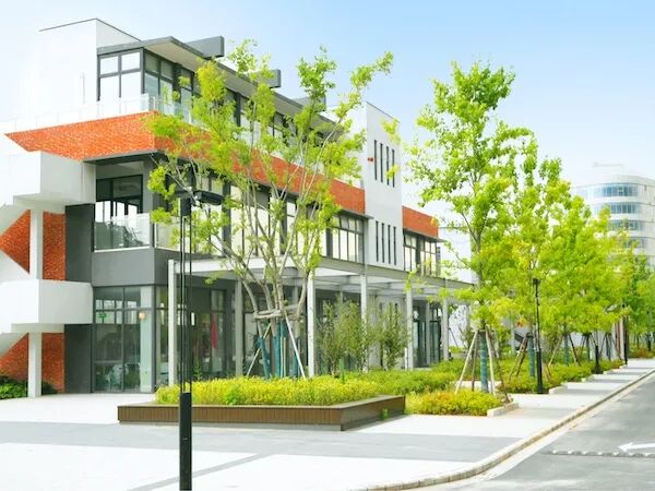 上海融高｜松江育才中学，艺术 + 多留学方向，普娃也能找到升学路！