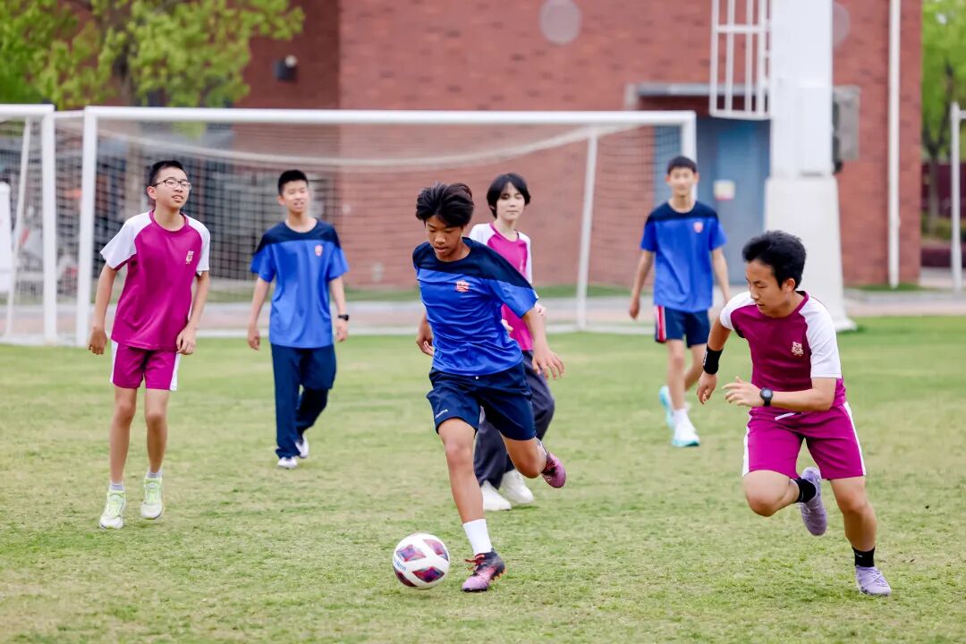 一文读懂上海德闳寄宿 一文读懂上海德闳寄宿