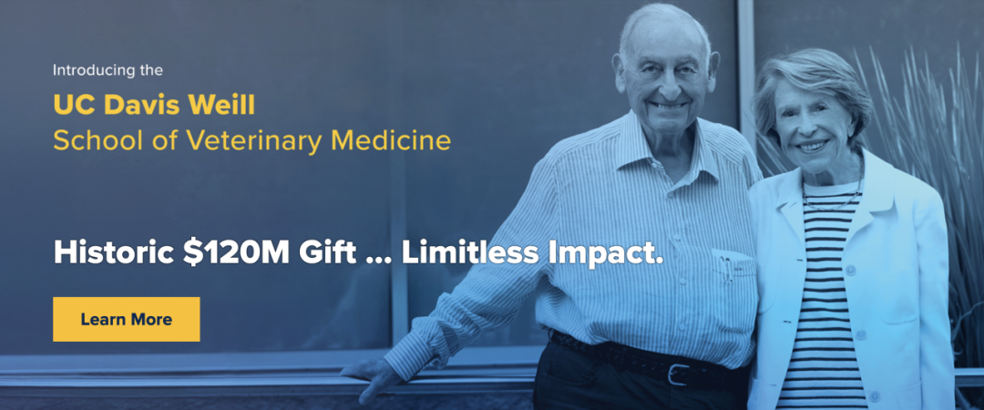 UC大学获1.2亿美元捐赠！六所UC的专业录取率真相，远比你想象的残酷