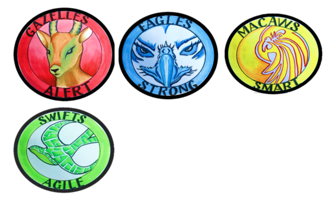 宝石花阿布扎比温彻斯特学校（GEMS Winchester School Abu Dhabi）入学指南