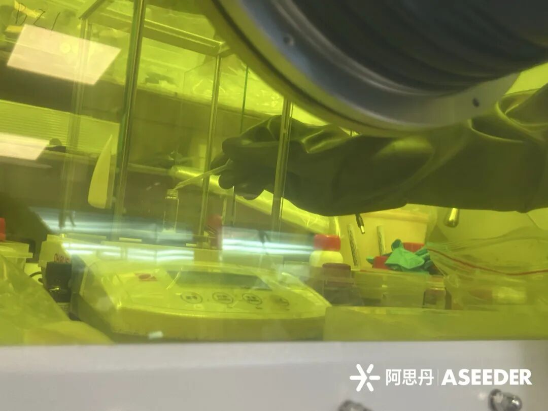 【材料/物理深度科研】在苏州参加牛津官方项目，亲手制作一块第三代太阳能电池！