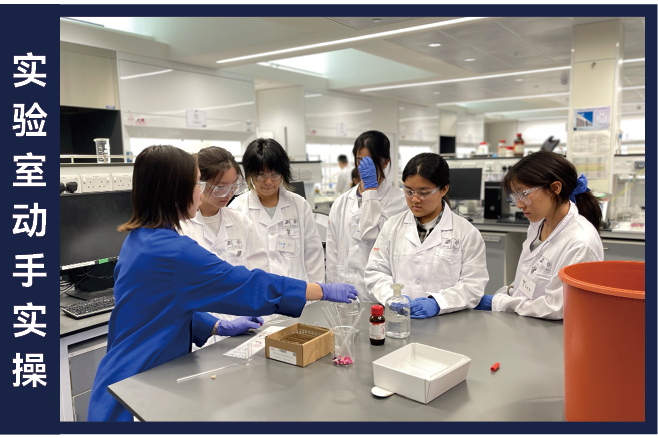 【官宣】2026牛津大学生物化学官方夏校开放申请 | 50%牛津实验室科研