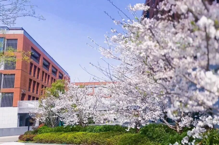 南京国际学校｜南京外国语国际部