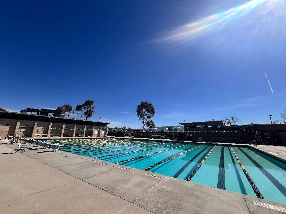 美高放榜后：“名校凤尾”与“资源鸡头”，如何选择？