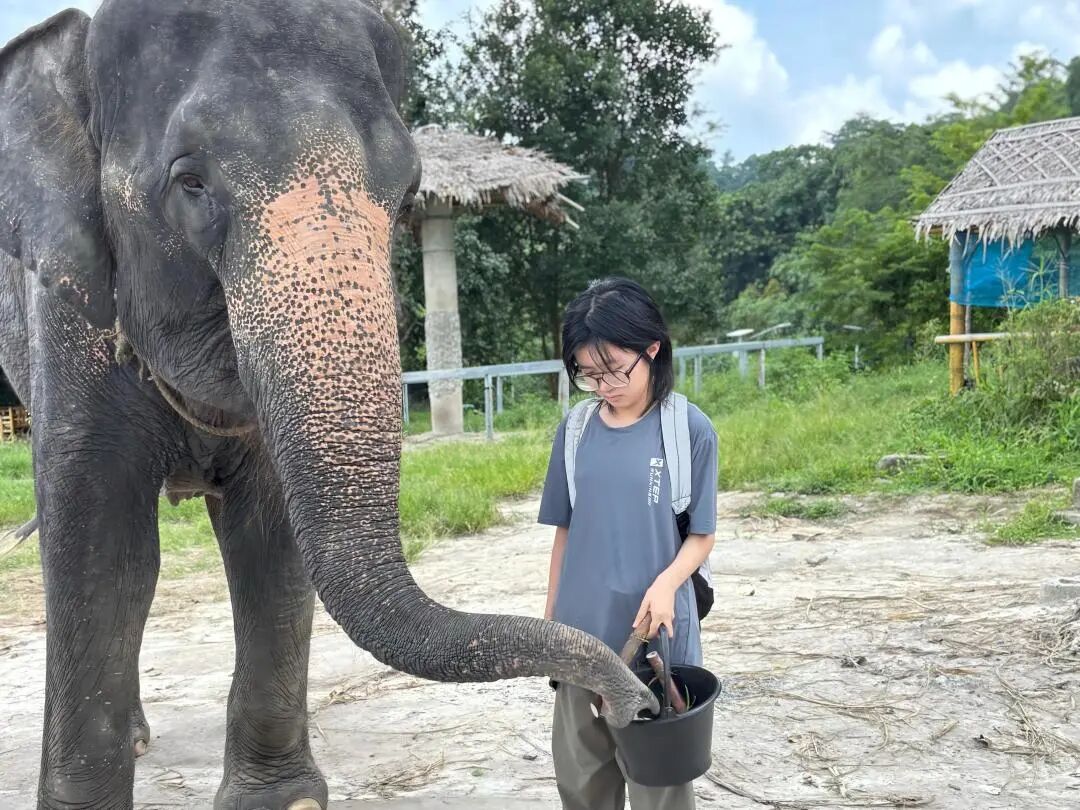 【报名直通车】 2026世界地球科学挑战全国轮报名中！一起解锁地球的N种玩法！