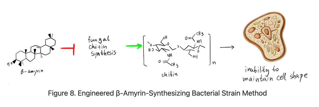 iGEM评委为何“单独点名”?从评委反馈看懂一个成熟的iGEM项目 iGEM评委为何“单独点名”?从评委反馈看懂一个成熟的iGEM项目