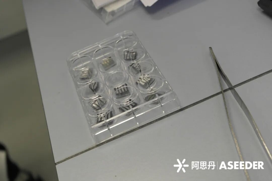 【材料/物理深度科研】在苏州参加牛津官方项目，亲手制作一块第三代太阳能电池！