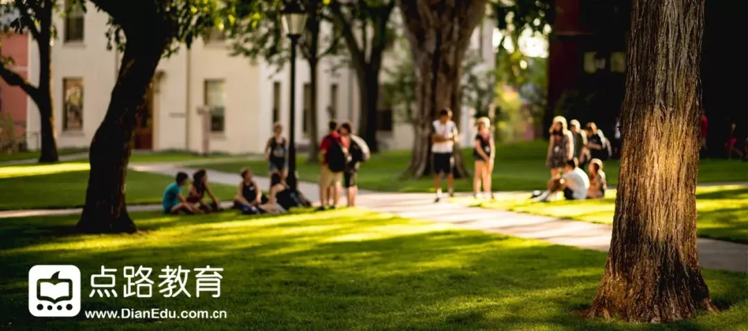 赶超工程和CS！被群嘲“天坑”的社会心理专业，为何成了藤校顶流？