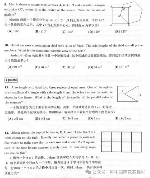 2026年袋鼠竞赛考试规则必看！历年真题免费领取，速来