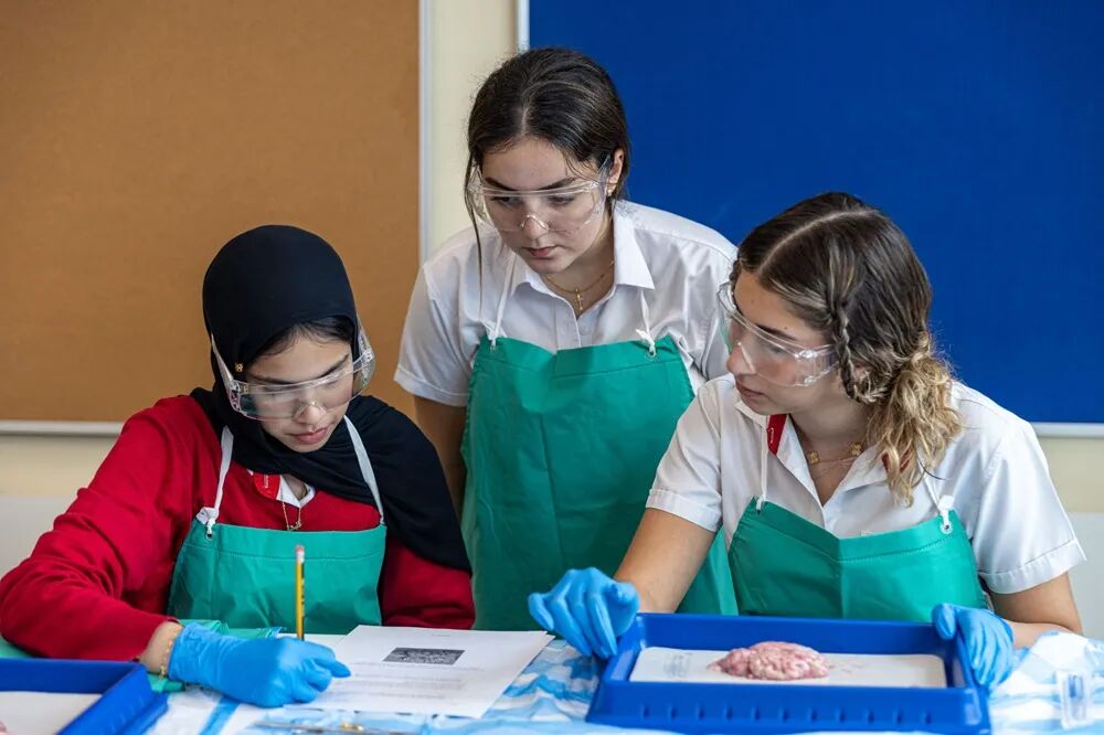 阿布扎比加拿大国际学校（Canadian International School Abu Dhabi）入学指南