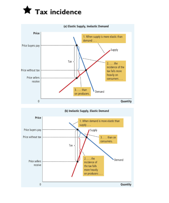 AP 微观经济备考全攻略｜高频易错 + 高效复习方法