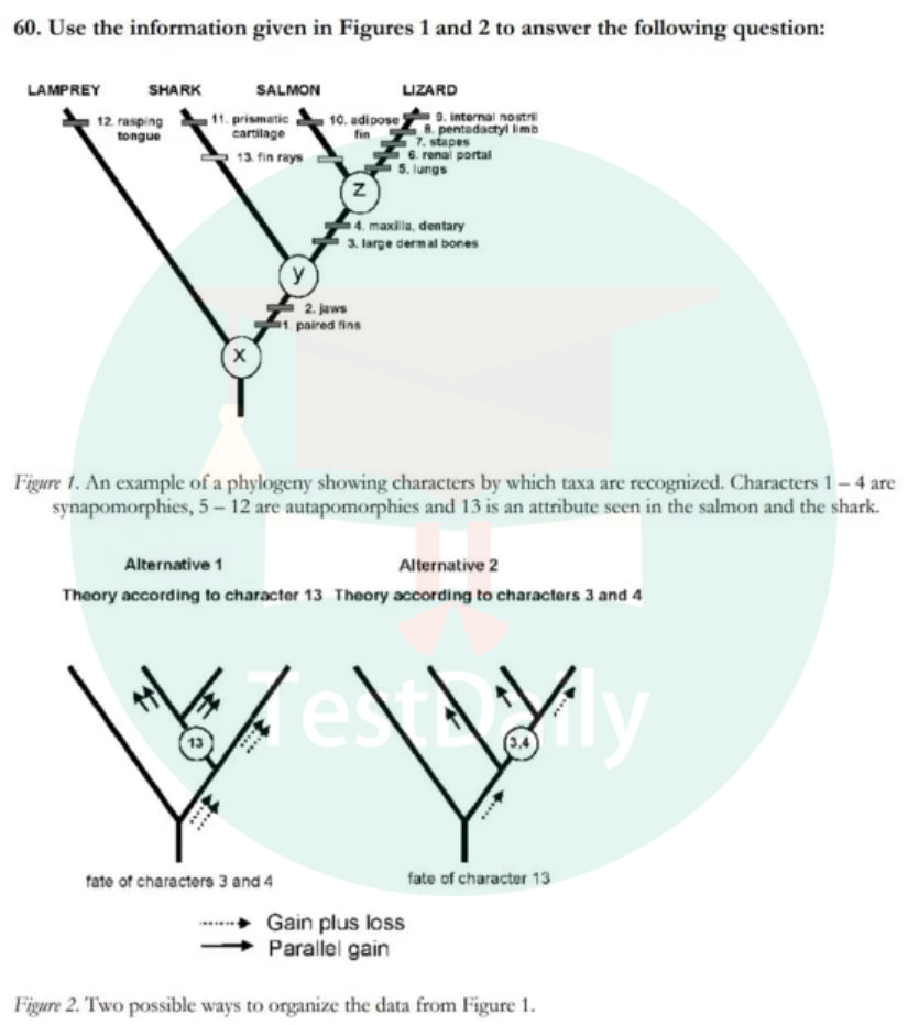 生物圈“顶流”国际竞赛，获奖好像也没那么难？|| USABO备赛经验