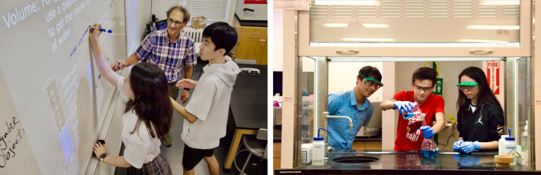 理工科“爬藤”：揭秘顶尖美高 STEM 学科的培养之路