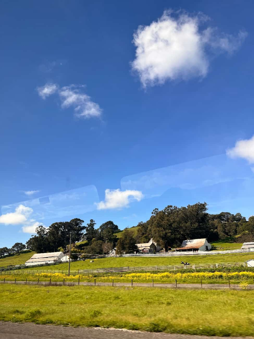 美高放榜后：“名校凤尾”与“资源鸡头”，如何选择？