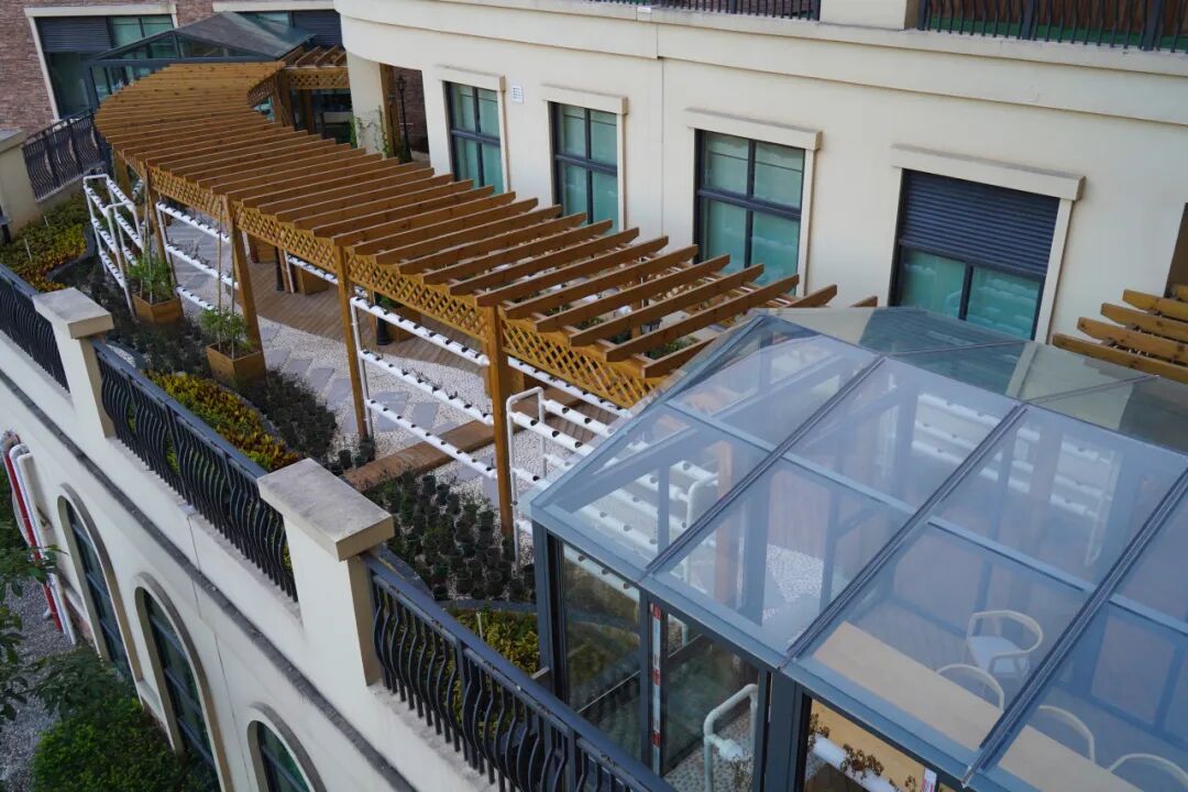 最新|深外湾区学校3月11日将举办校园开放日活动