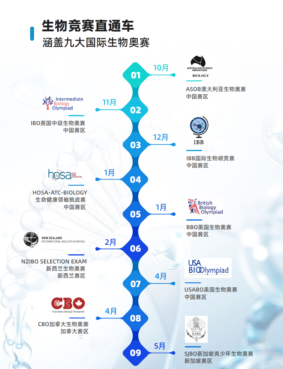 2026年BBO出分，金奖线暴涨至71.99%！考后紧急规划路线图来了！