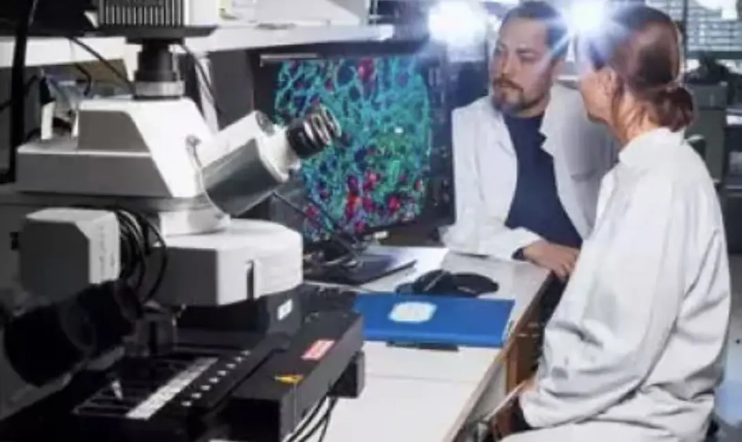 芬兰留学 | 医药相关 2年制英授硕士项目（赫尔辛基大学 / 图尔库大学 / 东芬兰大学）