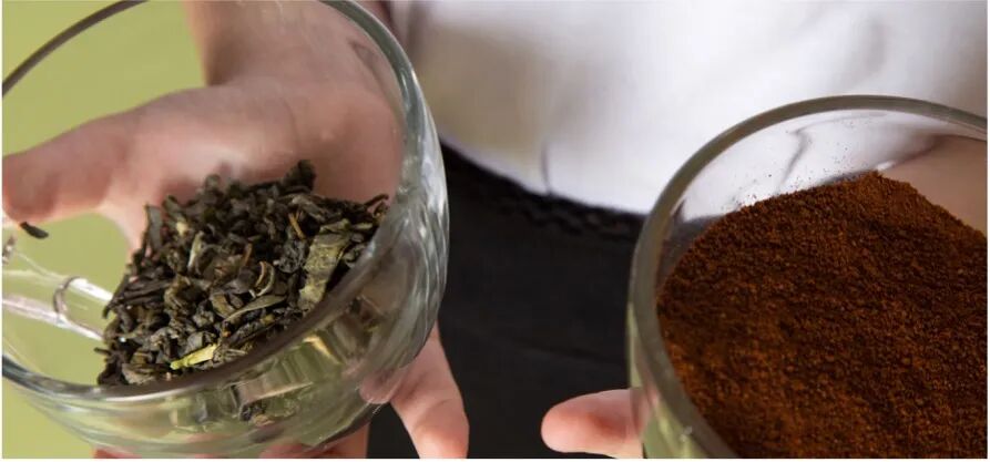 名校科研：26暑XLAB德国哥廷根大学科研：生物/化学/物理方向进！