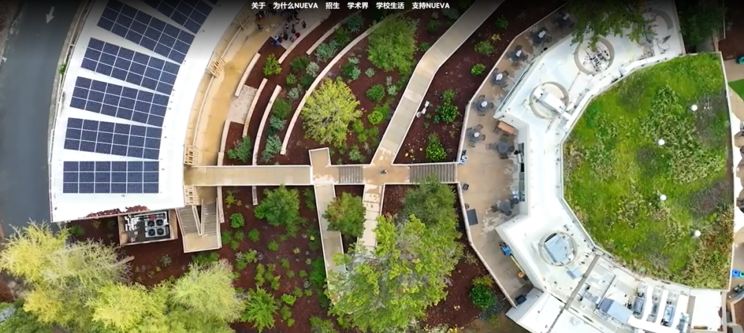 理工科“爬藤”：揭秘顶尖美高 STEM 学科的培养之路