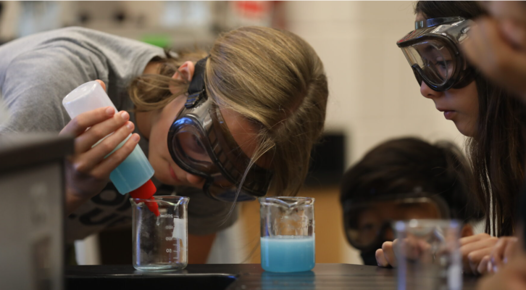 理工科“爬藤”：揭秘顶尖美高 STEM 学科的培养之路