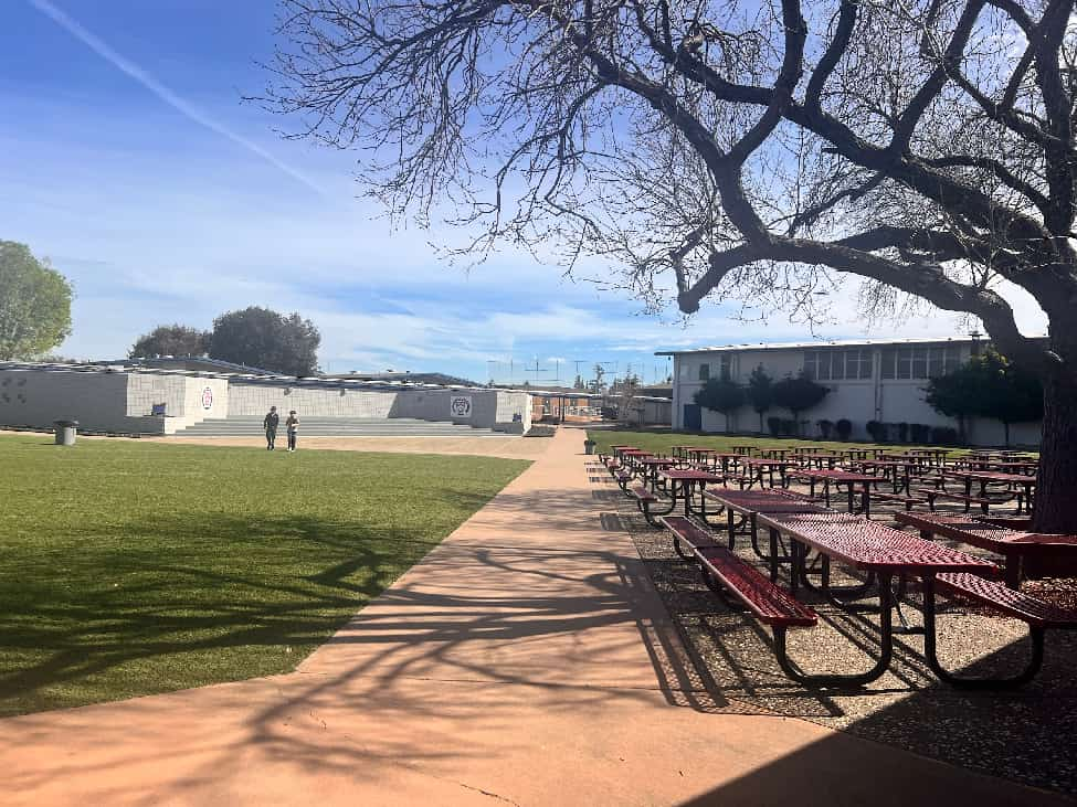 美高放榜后：“名校凤尾”与“资源鸡头”，如何选择？