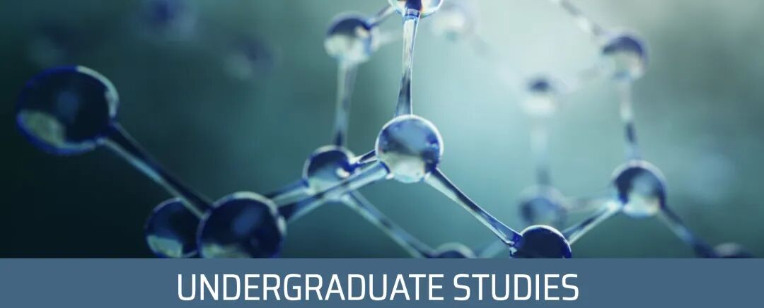 硬核科研资源加持！港大理工科项目深度解析