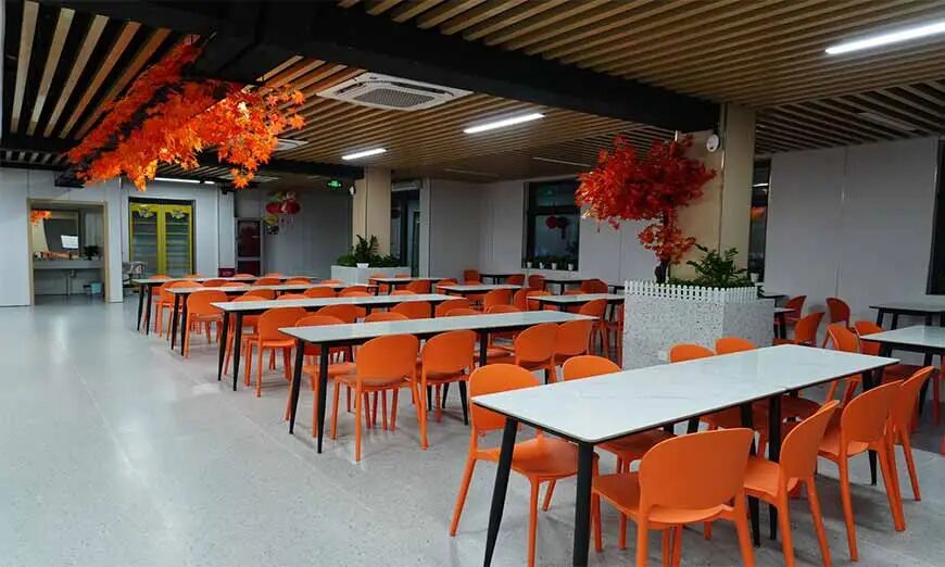 上海融高｜松江育才中学，艺术 + 多留学方向，普娃也能找到升学路！