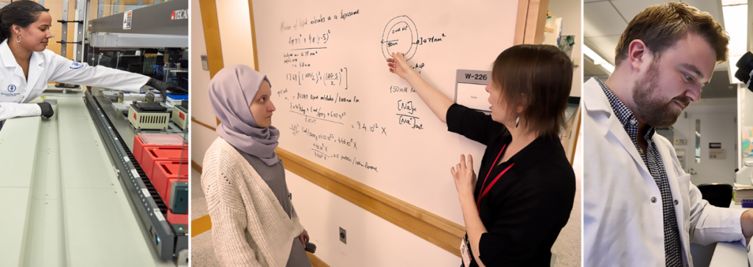 MIT&斯坦福双料学霸休学创业，这届00后凭什么让自己的数学教授和Meta总监甘愿给她打工？