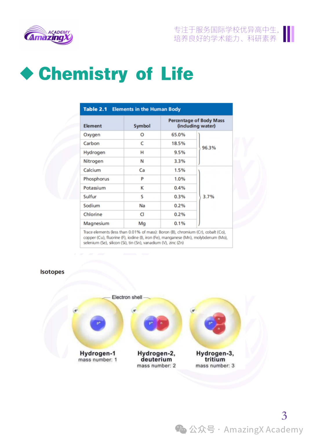 【报名】2026 USABO备战全攻略｜全球顶尖生物奥赛保姆级解读 + AmazingX冲刺课程重磅上线