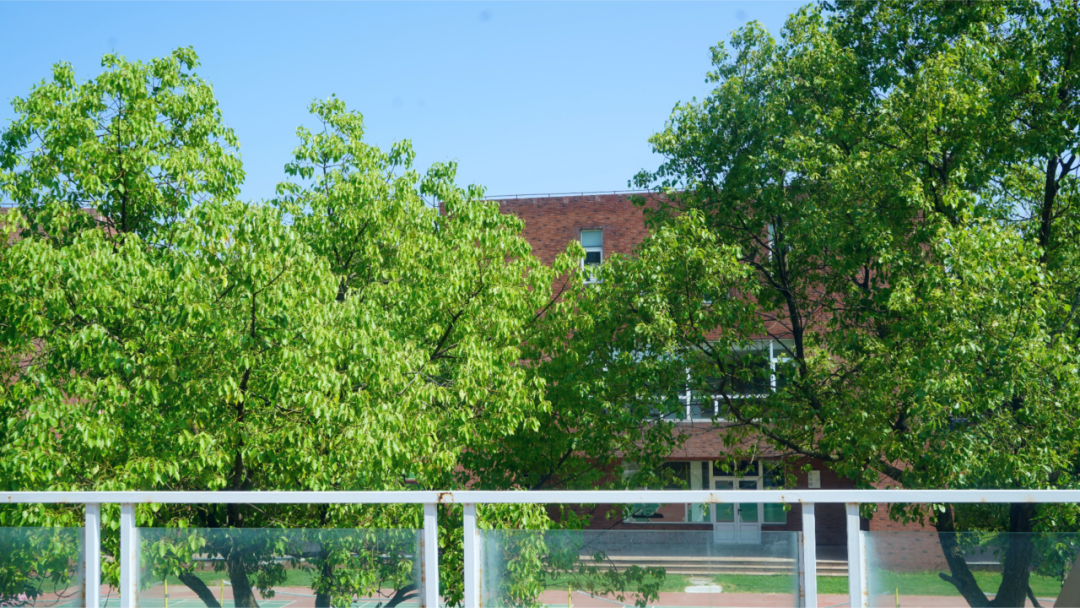 东领SDS | 英澳留学详解