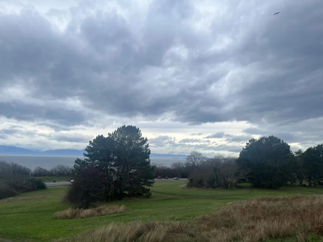 想留新工作？这份工签申请流程请收好