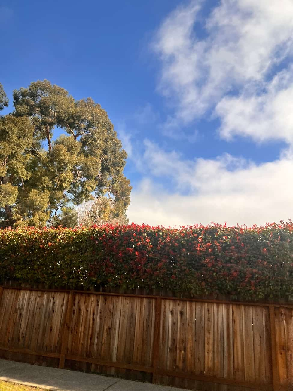 美高放榜后：“名校凤尾”与“资源鸡头”，如何选择？