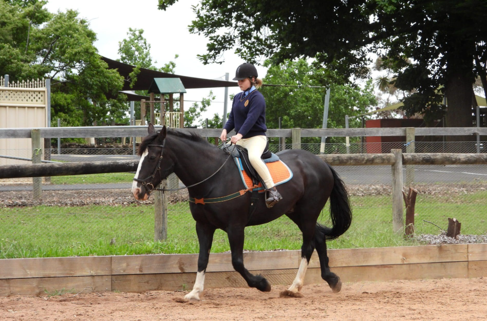 【维州寄宿私立混校】汉米尔顿-亚历山大学院 The Hamilton and Alexandra College！