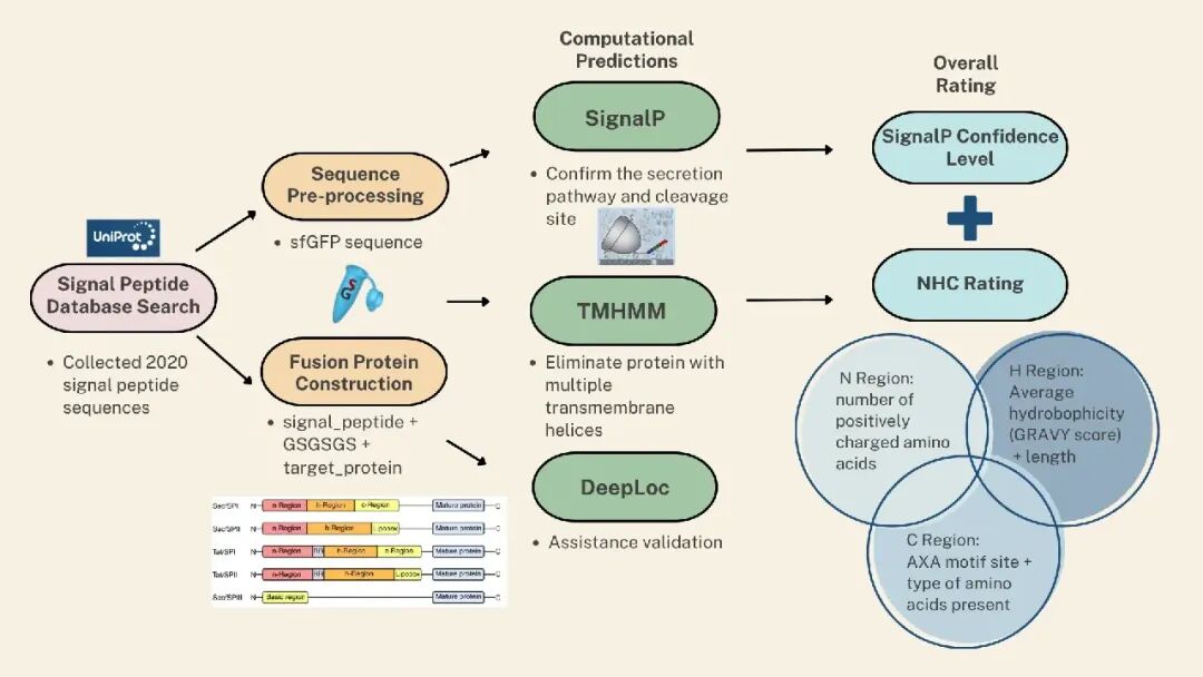 iGEM评委为何“单独点名”？从评委反馈看懂一个成熟的iGEM项目