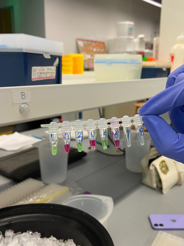 【常规轮最后8天】约翰霍普金斯官方学分夏校，适合9-12年级学霸