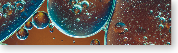 生物挑战高分选手都在补的科研第一课，罗塞塔生物医学实验夏校带你揭秘