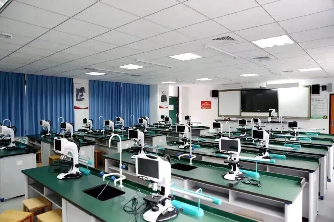 深圳国际学校｜深圳市承翰学校信男日本名校班