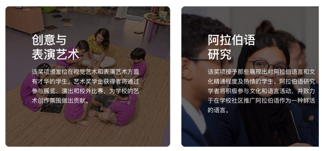 阿布扎比巴廷世界学院（Bateen World Academy）入学指南