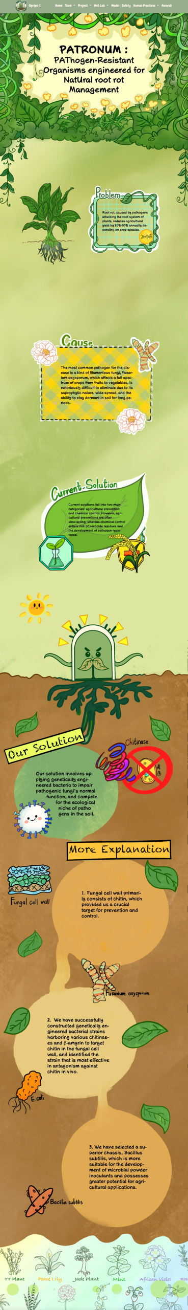 iGEM评委为何“单独点名”?从评委反馈看懂一个成熟的iGEM项目 iGEM评委为何“单独点名”?从评委反馈看懂一个成熟的iGEM项目