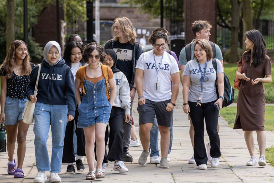 2026｜耶鲁生物+统计交叉高端夏校、荣雅内部客户珍藏版夏校系列！