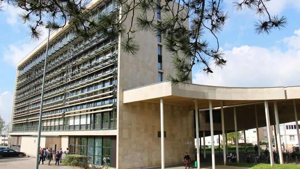 勃艮第欧洲大学第戎IAE学院英授项目：管理学硕士 - 国际管理与可持续发展