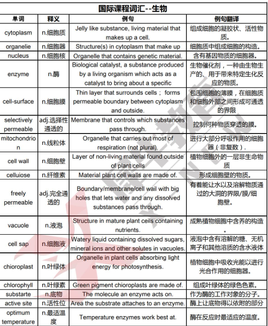 学IGCSE课程-基础差跟不上进度/题目看不懂怎么办？