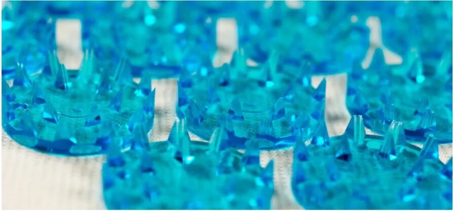 名校科研：26暑XLAB德国哥廷根大学科研：生物/化学/物理方向进！